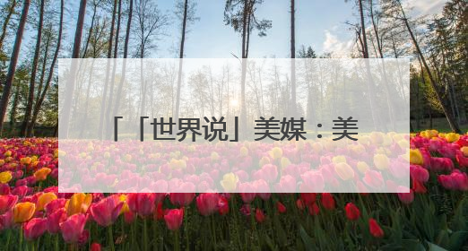 「世界说」美媒：美国儿童玩具涨价缺货 业者质问“为何对孩子的快乐征税？”