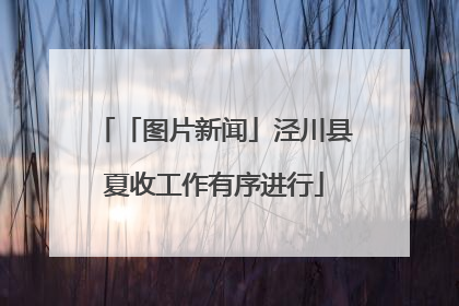 「图片新闻」泾川县夏收工作有序进行