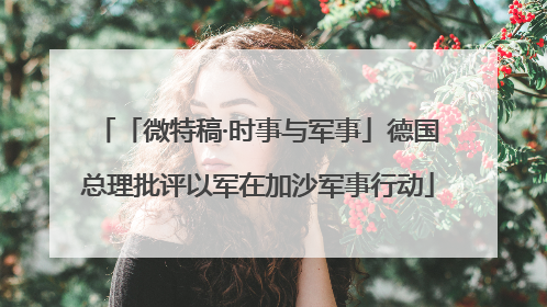 「微特稿·时事与军事」德国总理批评以军在加沙军事行动