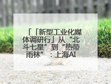 「新型工业化媒体调研行」从“北斗七星”到“热带雨林”：上海AI生态的技术商业共生密码