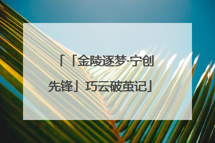「金陵逐梦·宁创先锋」巧云破茧记