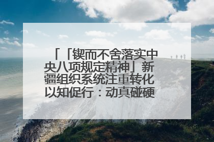 「锲而不舍落实中央八项规定精神」新疆组织系统注重转化以知促行：动真碰硬抓好整改整治