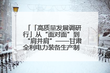 「高质量发展调研行」从“面对面”到“肩并肩”——甘肃全利电力装备生产制造项目一线见闻
