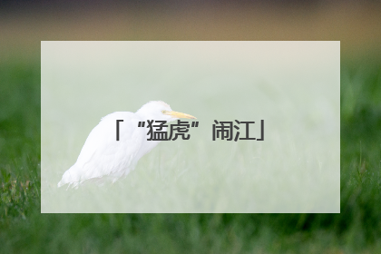 “猛虎”闹江
