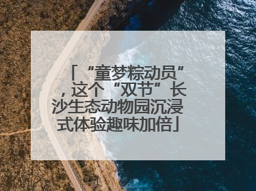“童梦粽动员”，这个“双节”长沙生态动物园沉浸式体验趣味加倍