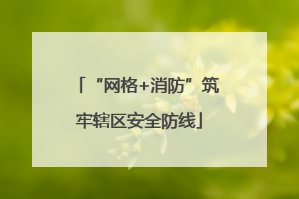 “网格+消防”筑牢辖区安全防线