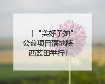 “美好予她”公益项目落地陕西蓝田举行