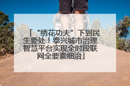“绣花功夫”下到民生要处！泰兴城市治理智慧平台实现全时段联网全要素细治