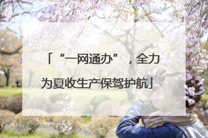 “一网通办”，全力为夏收生产保驾护航