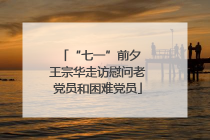 “七一”前夕 王宗华走访慰问老党员和困难党员