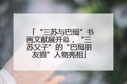 “三苏与巴蜀”书画文献展开幕，“三苏父子”的“巴蜀朋友圈”人物亮相