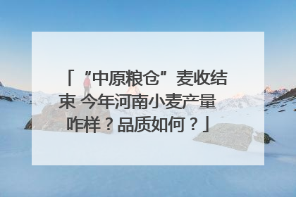“中原粮仓”麦收结束 今年河南小麦产量咋样？品质如何？