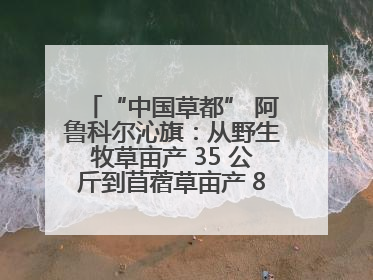 “中国草都” 阿鲁科尔沁旗：从野生牧草亩产 35 公斤到苜蓿草亩产 800 公斤以上