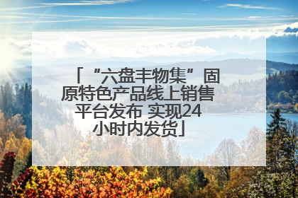 “六盘丰物集”固原特色产品线上销售平台发布 实现24小时内发货
