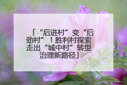 “后进村”变“后劲村”！胜利村探索走出“城中村”转型治理新路径