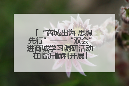 “商城出海 思想先行”——“双会”进商城学习调研活动在临沂顺利开展