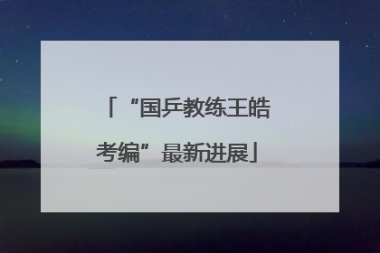 “国乒教练王皓考编”最新进展