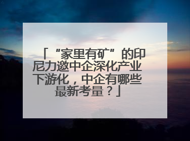 “家里有矿”的印尼力邀中企深化产业下游化，中企有哪些最新考量？