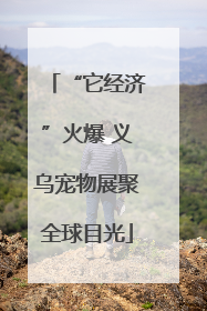 “它经济”火爆 义乌宠物展聚全球目光