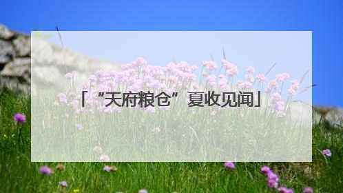 “天府粮仓”夏收见闻