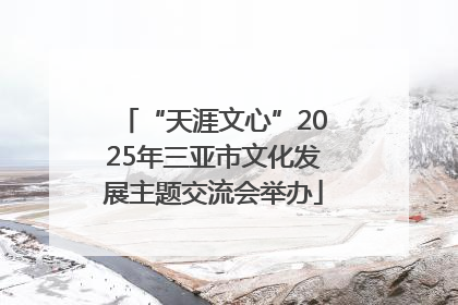 “天涯文心”2025年三亚市文化发展主题交流会举办