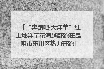 “奔跑吧·大洋芋”红土地洋芋花海越野跑在昆明市东川区热力开跑