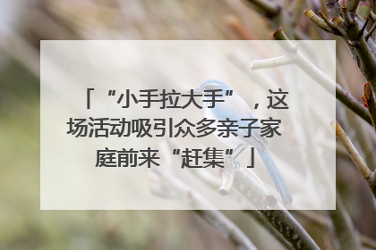 “小手拉大手”，这场活动吸引众多亲子家庭前来“赶集”