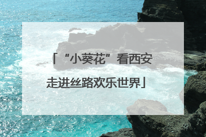 “小葵花”看西安走进丝路欢乐世界