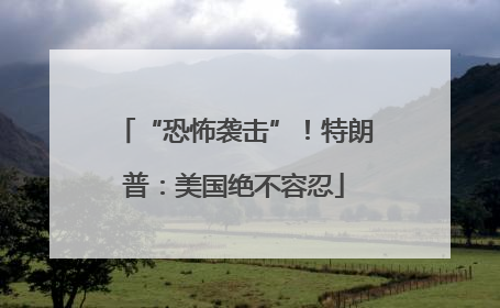 “恐怖袭击”！特朗普：美国绝不容忍