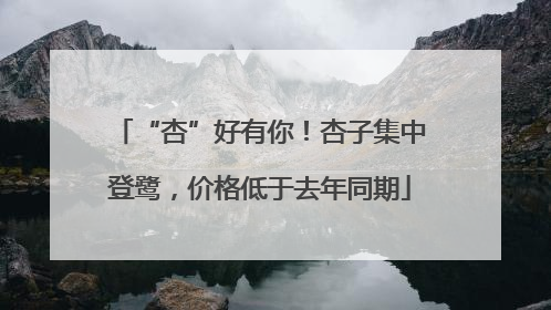 “杏”好有你！杏子集中登鹭，价格低于去年同期