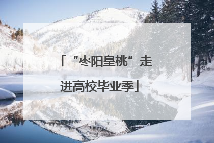 “枣阳皇桃”走进高校毕业季