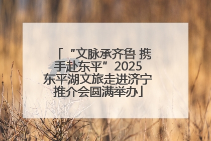 “文脉承齐鲁 携手赴东平”2025东平湖文旅走进济宁推介会圆满举办