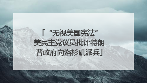 “无视美国宪法” 美民主党议员批评特朗普政府向洛杉矶派兵