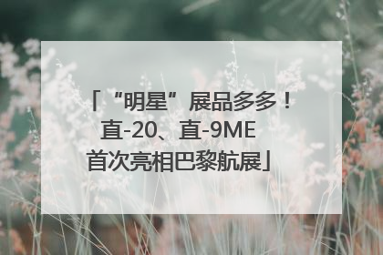 “明星”展品多多！直-20、直-9ME首次亮相巴黎航展