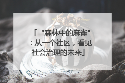 “森林中的麻雀”：从一个社区，看见社会治理的未来