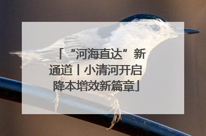 “河海直达”新通道丨小清河开启降本增效新篇章
