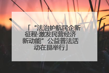 “法治护航民企新征程·激发民营经济新动能”公益普法活动在昆举行