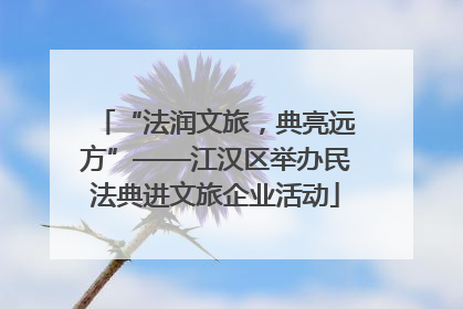 “法润文旅，典亮远方”——江汉区举办民法典进文旅企业活动