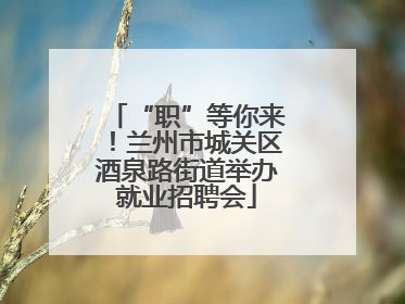 “职”等你来！兰州市城关区酒泉路街道举办就业招聘会