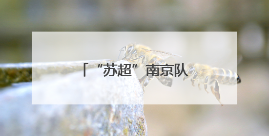 “苏超”南京队球星摇篮竟是这里？雨花实小9名毕业生入选南京队