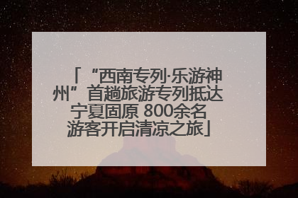 “西南专列·乐游神州”首趟旅游专列抵达宁夏固原 800余名游客开启清凉之旅