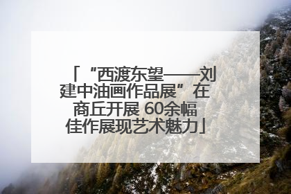 “西渡东望——刘建中油画作品展”在商丘开展 60余幅佳作展现艺术魅力
