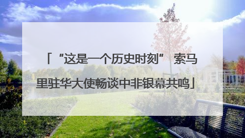 “这是一个历史时刻” 索马里驻华大使畅谈中非银幕共鸣