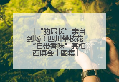 “豹局长”亲自到场！四川攀枝花“自带香味”亮相西博会丨图集