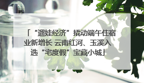 “遛娃经济”撬动端午住宿业新增长 云南红河、玉溪入选“宅度假”宝藏小城