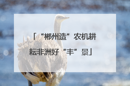 “郴州造”农机耕耘非洲好“丰”景