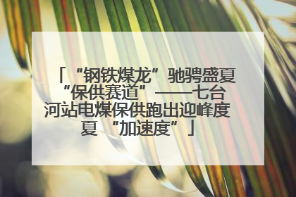 “钢铁煤龙”驰骋盛夏 “保供赛道”——七台河站电煤保供跑出迎峰度夏 “加速度”