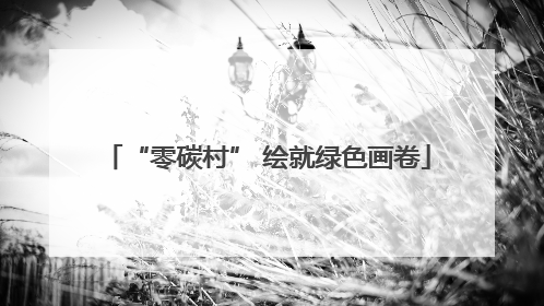 “零碳村” 绘就绿色画卷