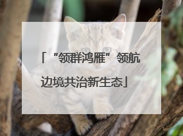 “领群鸿雁”领航边境共治新生态