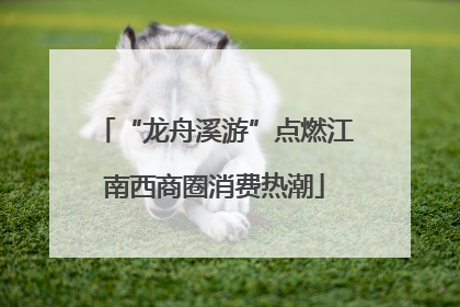 “龙舟溪游”点燃江南西商圈消费热潮